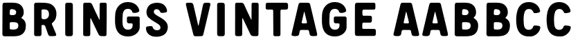 Brings Vintage font