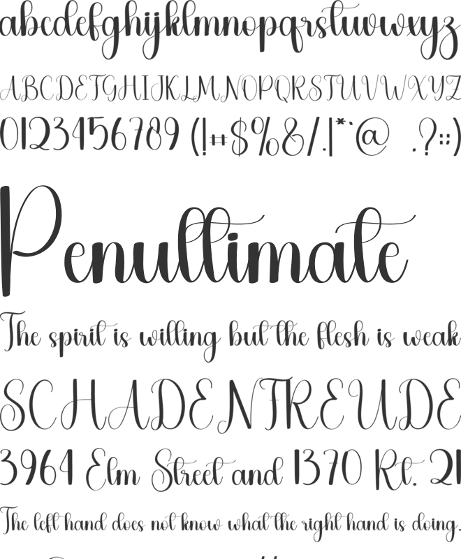 Always Sadnight font preview