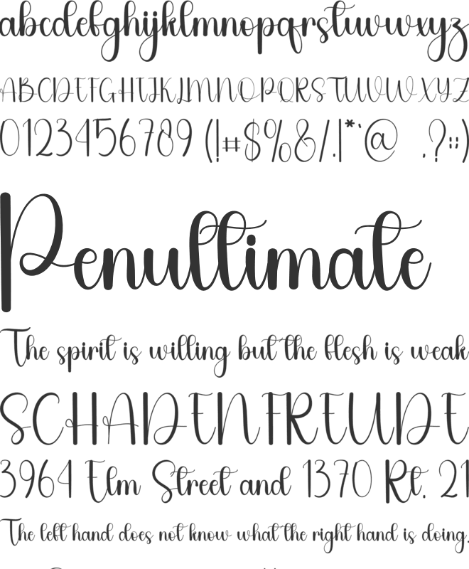 Stay Here font preview