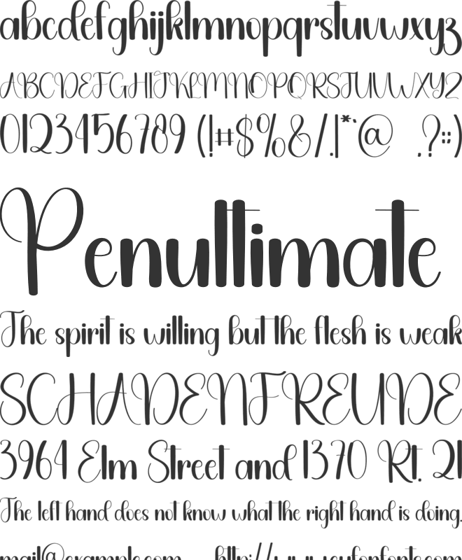 Expresion font preview
