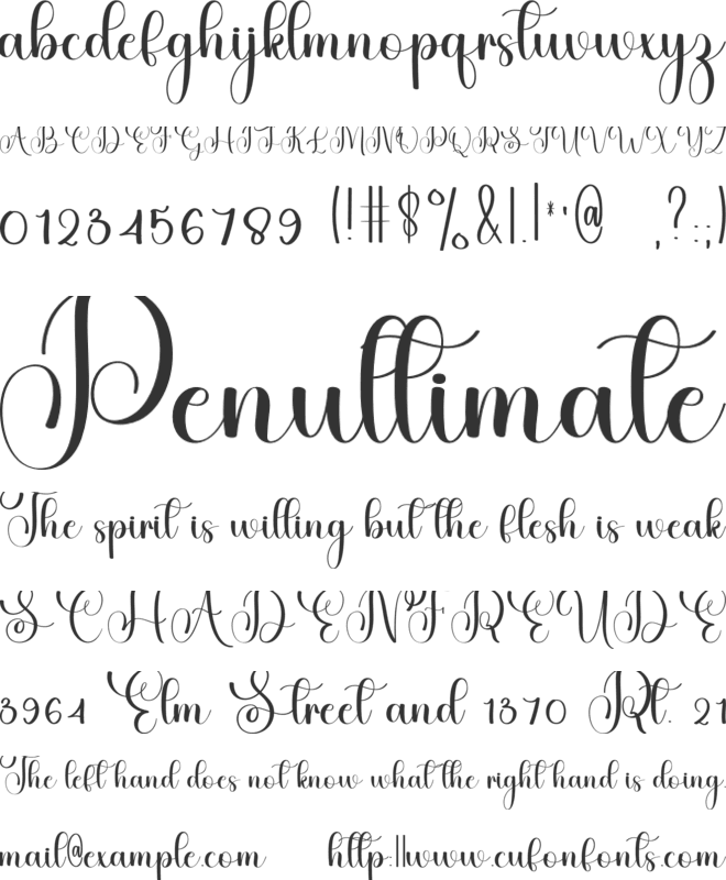 Delight Vintage font preview