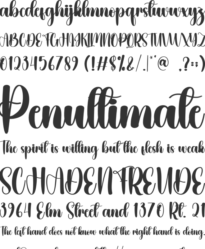 Serenity Christmas font preview