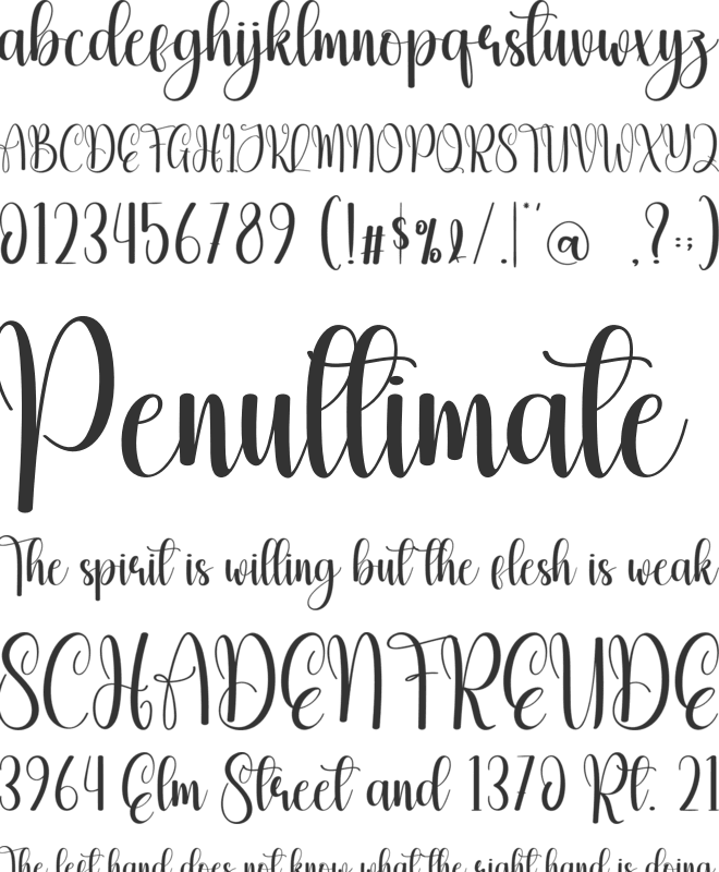 Rainsnow font preview