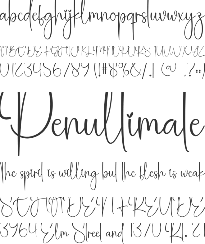 Notebook Christmas font preview