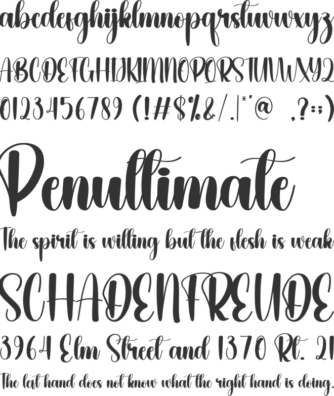 Dailylife font preview