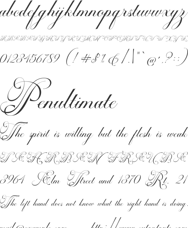 Cardilan Tatto font preview