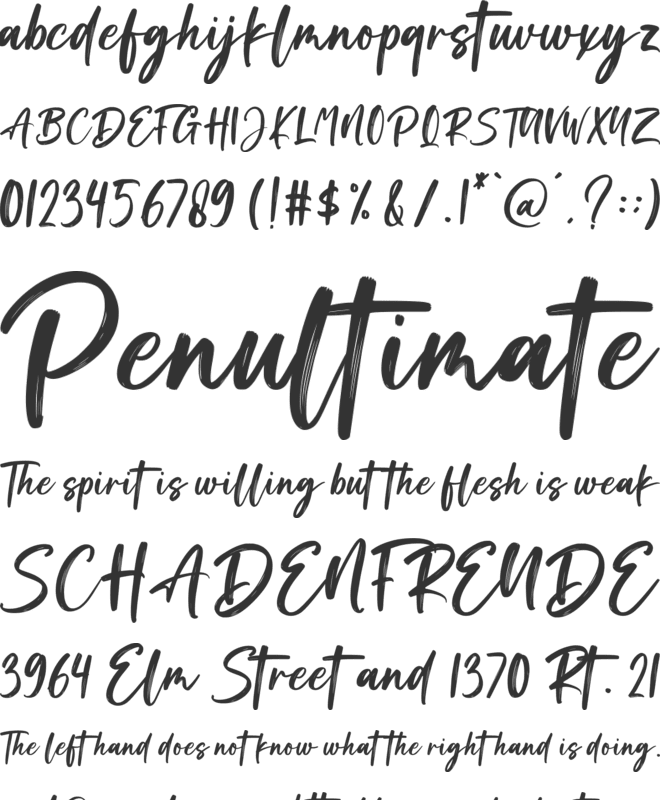 Brush Signature font preview