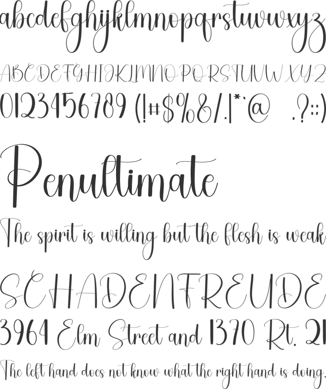 Butter Beans font preview