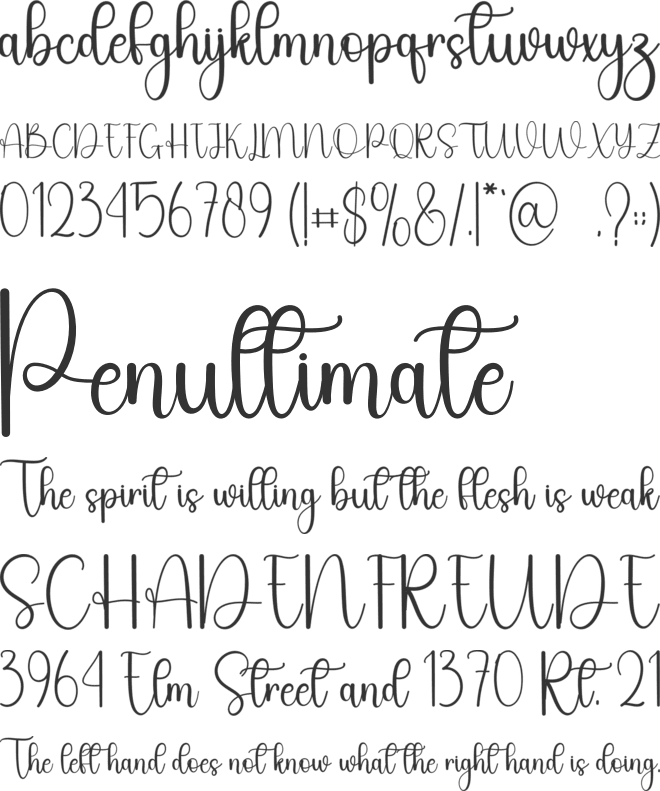 Sunday Night font preview