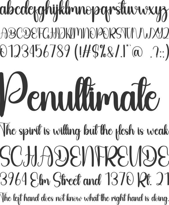 Surfside font preview