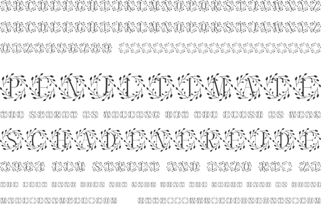 Meadowise font preview