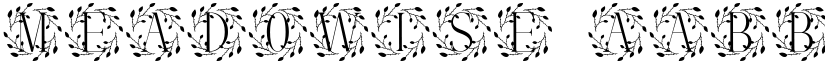 Meadowise font