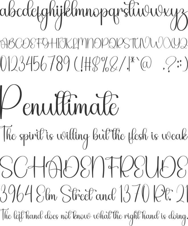 Angela Beauty font preview
