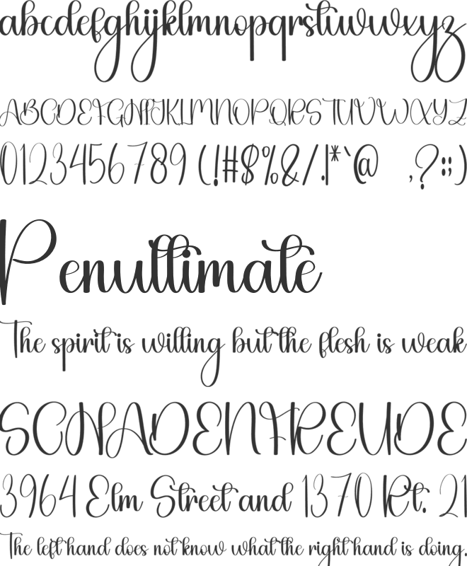 Stylish Handwritten font preview