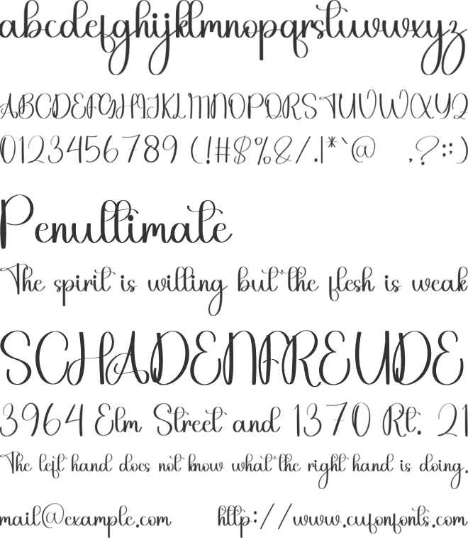 Morning Holiday font preview