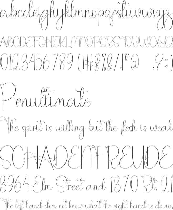 Tuesday Birthday font preview
