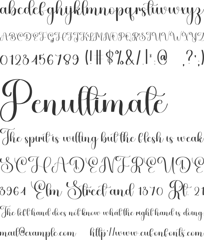 Stylish Whiskey font preview