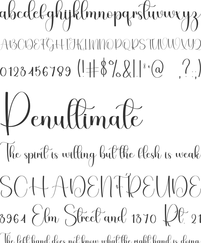 Elegant Alphabet font preview