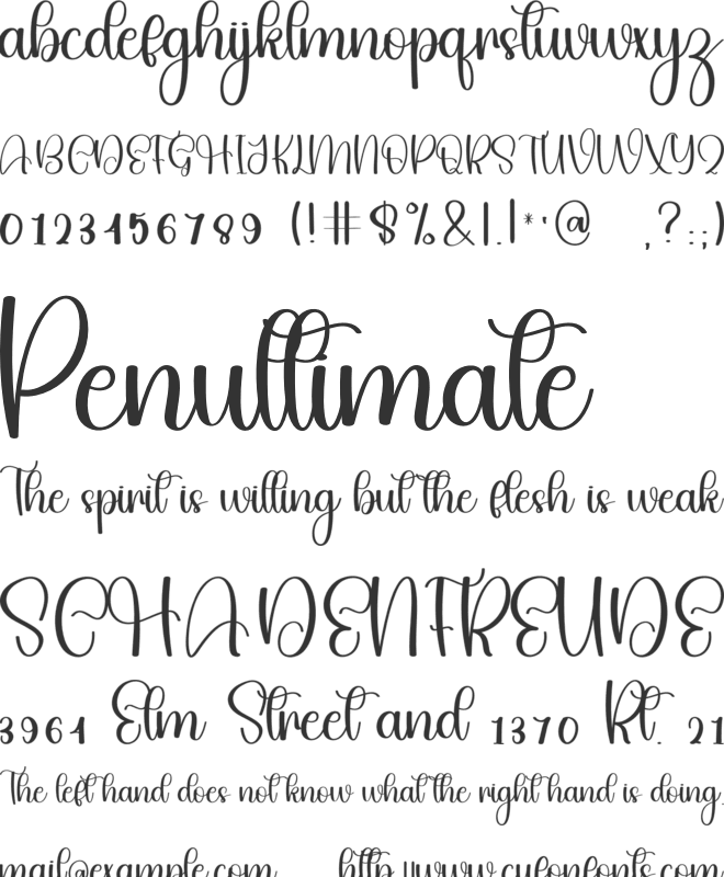 Family Jungle font preview