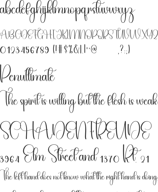Creative Autography font preview