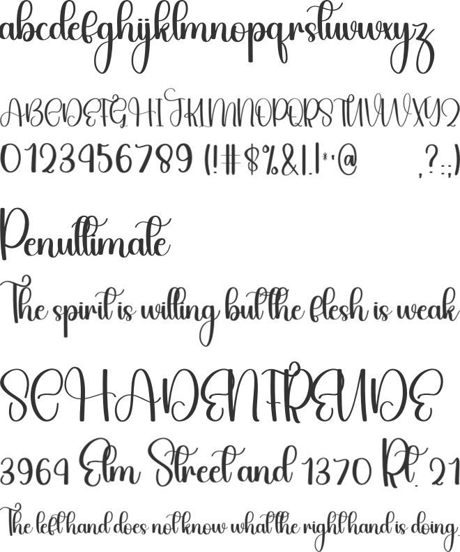 Stylish Farmhouse font preview