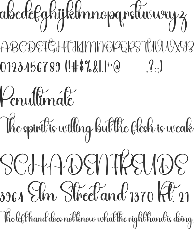 Twinkle November font preview