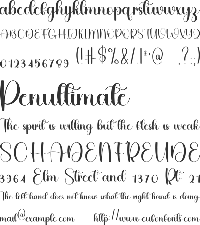 Vintage Calligraphy font preview