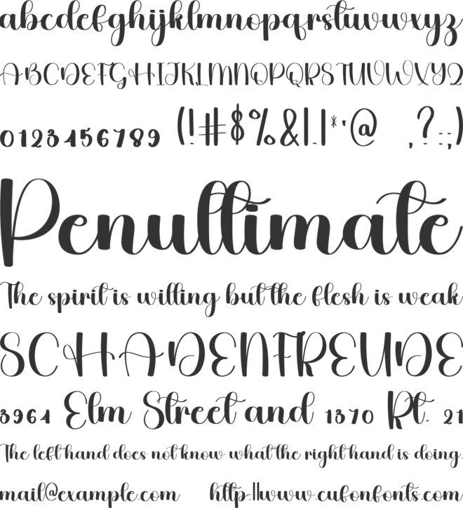 Honeystay font preview