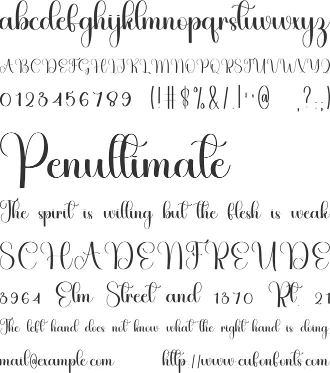 Writing Autography font preview