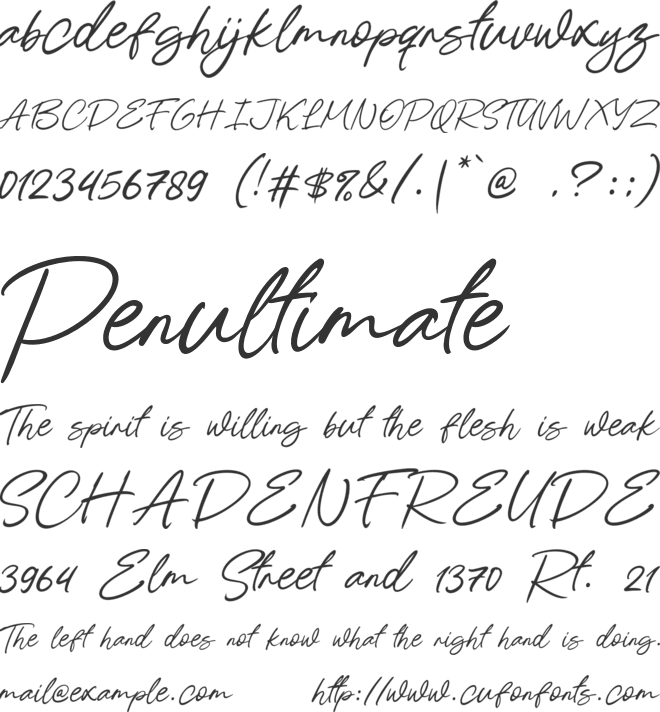 Opencare font preview