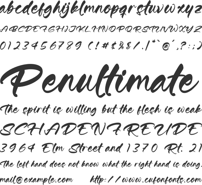 Buttons font preview