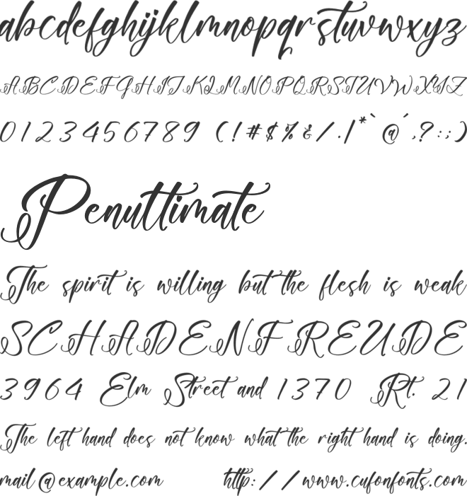 Floralis Morning font preview