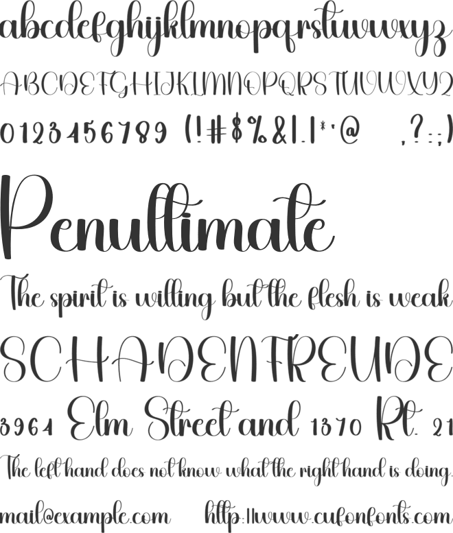 Digital Vintage font preview