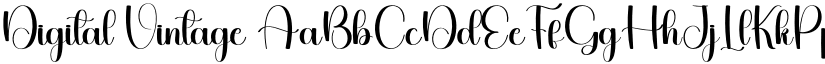 Digital Vintage font