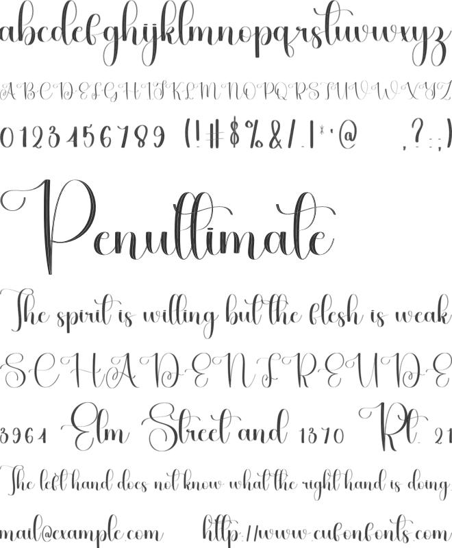 Big Jungle font preview