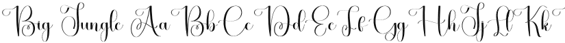 Big Jungle font