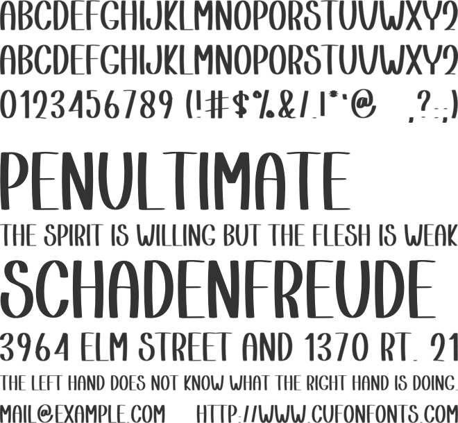 Birthday Holiday font preview
