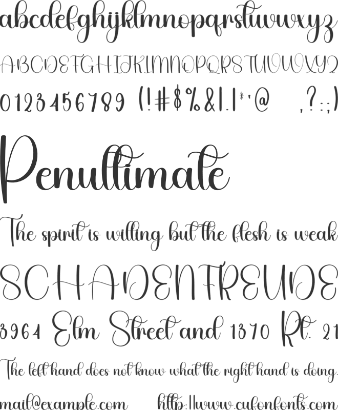 Black Spring font preview