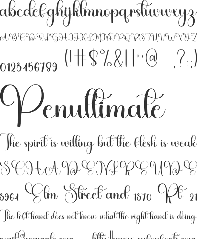 Snowing Calligraphy font preview