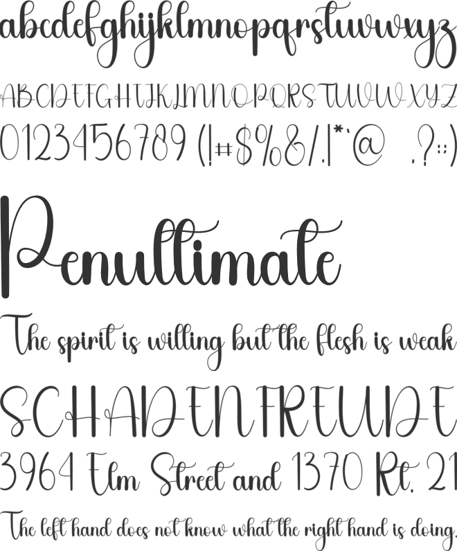 Napkins font preview