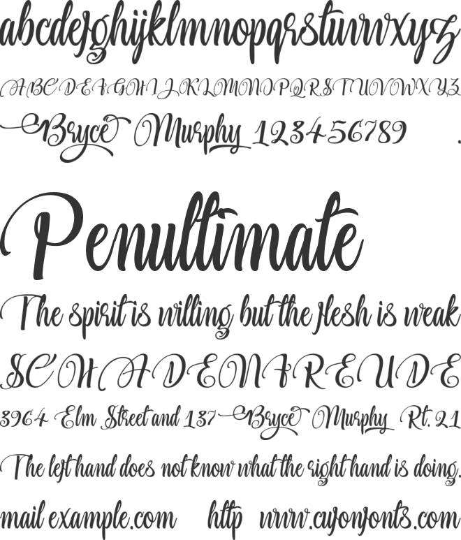Bryce Murphy font preview