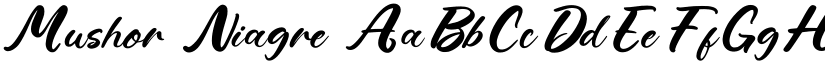 Mushor Niagre font