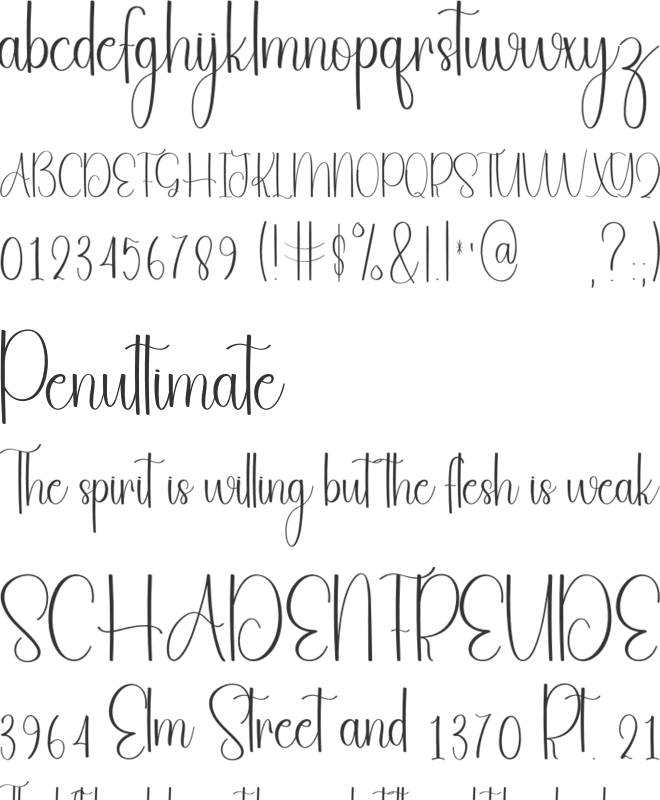 Beauty Calligraphy font preview