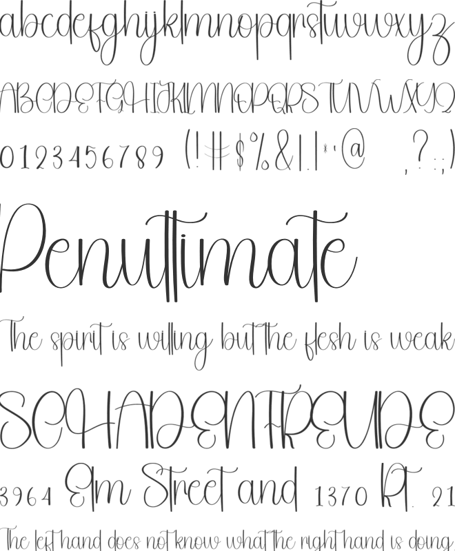Privilege Christmas font preview