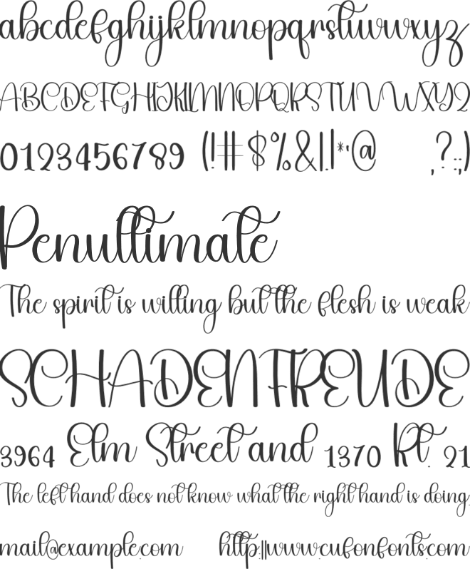 Yesterday January font preview