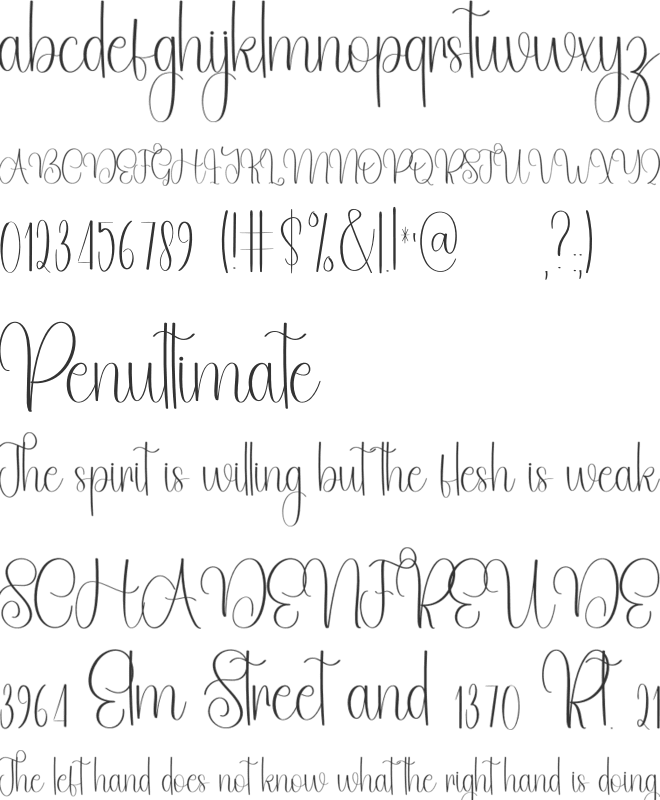 Morning Signature font preview