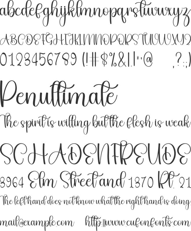 Melody Christmas font preview