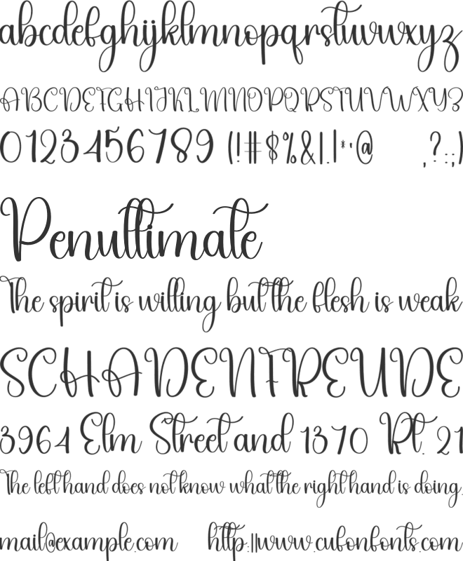 Knightly font preview