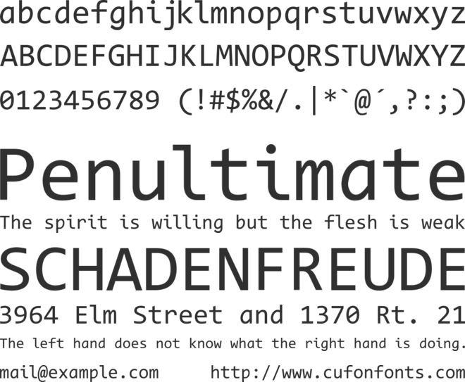 Code New Roman font preview