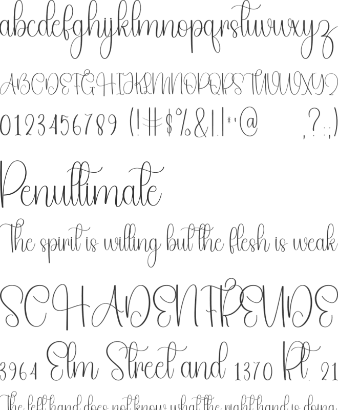 Stylish Veronicha font preview